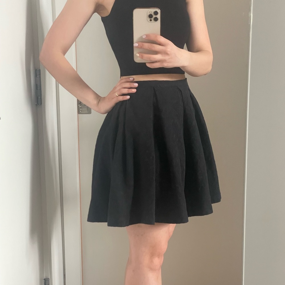 Zara Skater Skirt